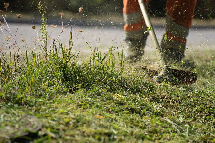 Freischneider mäht hohes Gras an einer Wiese im Garten