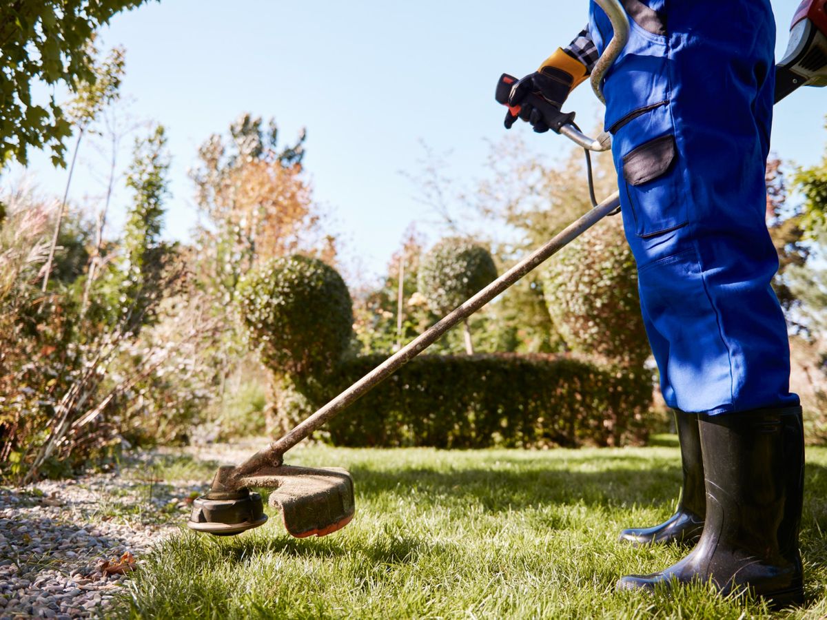 Freischneider bei der Rasen- und Gartenpflege an einem sonnigen Tag